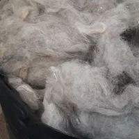 پشم گوسفند