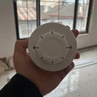 نماینده برند انا اعلام حریق