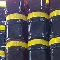 فروش عسل وحشی ارگانیک با خواص درمانی