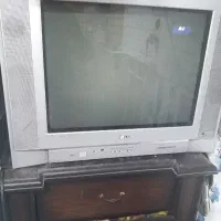 تلویزیون