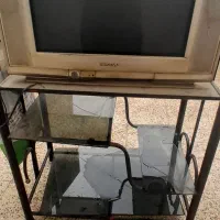 تلویزیون