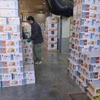 کلوچه ۱۰ تومن لاهیجان چتری