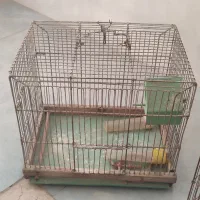 قفس پرنده