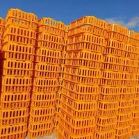 سبد مرغی