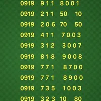 0919-211-50-10