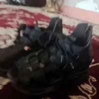 صندل