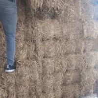 فروش پرس کاه گندم