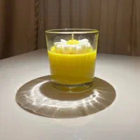 فروش شمع