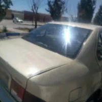 سمند معمولی85
