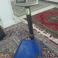 باسکول