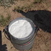 شیر گوسفند و بز