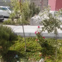 فاز9جدید-دوخواب-ویودار