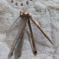 سلام مو چین قدیمی