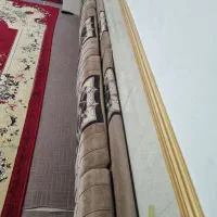 پشتی خلیجی نو
