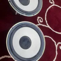 چند عدد باند