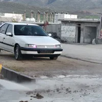 پژو تمام رنگ