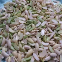 پاچه باقلا