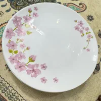 بشقاب ارکوپال