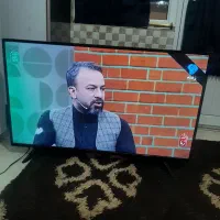 تلویزیون ۴۳ اینچ زلموند در حد اگبند