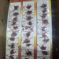 پخش کلی جزئی ادویه جات زعفران و هل