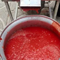 آبگیری گوجه‌فرنگی