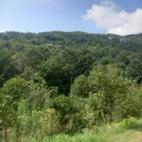 زمین با ویو رویایی