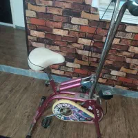 دوچرخه ثابت