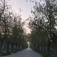 زمین-دور-دیوار-چهچهه-فروش-یا-معاوضه