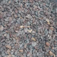 کشمش|خوردنی و آشامیدنی|یزد, |دیوار