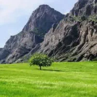 طبیعت گردی