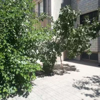 270 متر ملک در ۴ طبقه قابل سکونت خیابان شکوفه