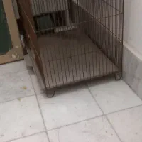 قفس پرنده