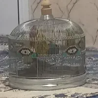 سهره  خ ا ک ی