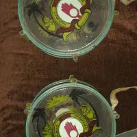 طبل