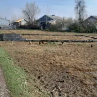 کدسلیمان۱/ ۲۵۰متر زمین کاملا مسکونی شهری لولمان