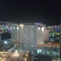 همخونه فاز ۱۱