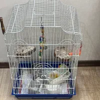 قفس پرنده