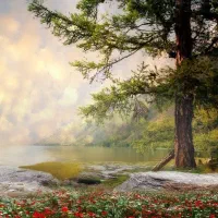 پیاده روی یا طبیعت