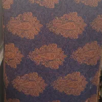 یک‌جفت پشتی نو