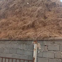 یونجه بدل اباد