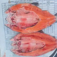 ماهی قزل آلا وسالمون بصورت عمده|خوردنی و آشامیدنی|رشت, پل تالشان|دیوار