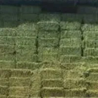 یونجه پرس بسته بندی شده ۹۰ سانتی
