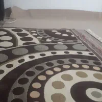سوییت