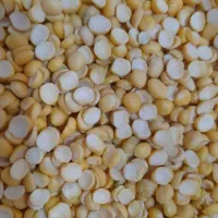 لپه ریز اذرشهر