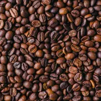 فرصت استثنایی برای خرید دان قهوه(ویتنام)