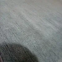 موکت پالاز موکت
