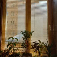 پرده کرکره ای