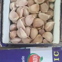 سیر خشک قرمز