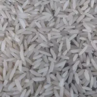 برنج هاشمی امسال