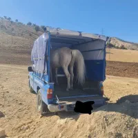 (اسبکش)  اسب کش